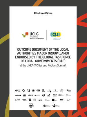 LAMG Outcome Document on UNEA 7