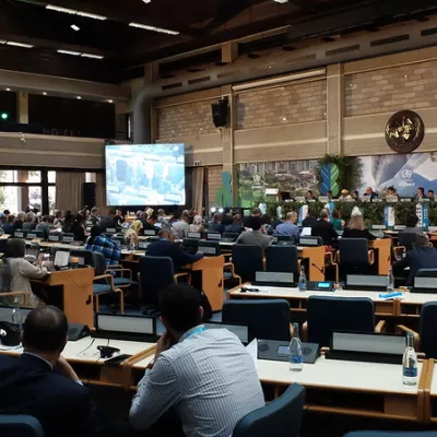 The constituency of local and regional governments at the second session of the United Nations Habitat Assembly: scaling up stakeholder engagement and advocating for inclusive multilateralism towards the localization of the 2030 Agenda